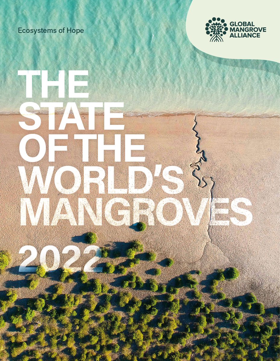 If you haven't seen it yet, inform yourself of what is happening globally with irreplaceable mangrove ecosystems. 

@uicn_conserva @UICN_SUR @IucnE @IUCN_Oceania @IUCN_Med @IUCN_PA @IUCN_ecosystem @IUCNAsia @IUCN_Gender https://t.co/oaterYGGY4