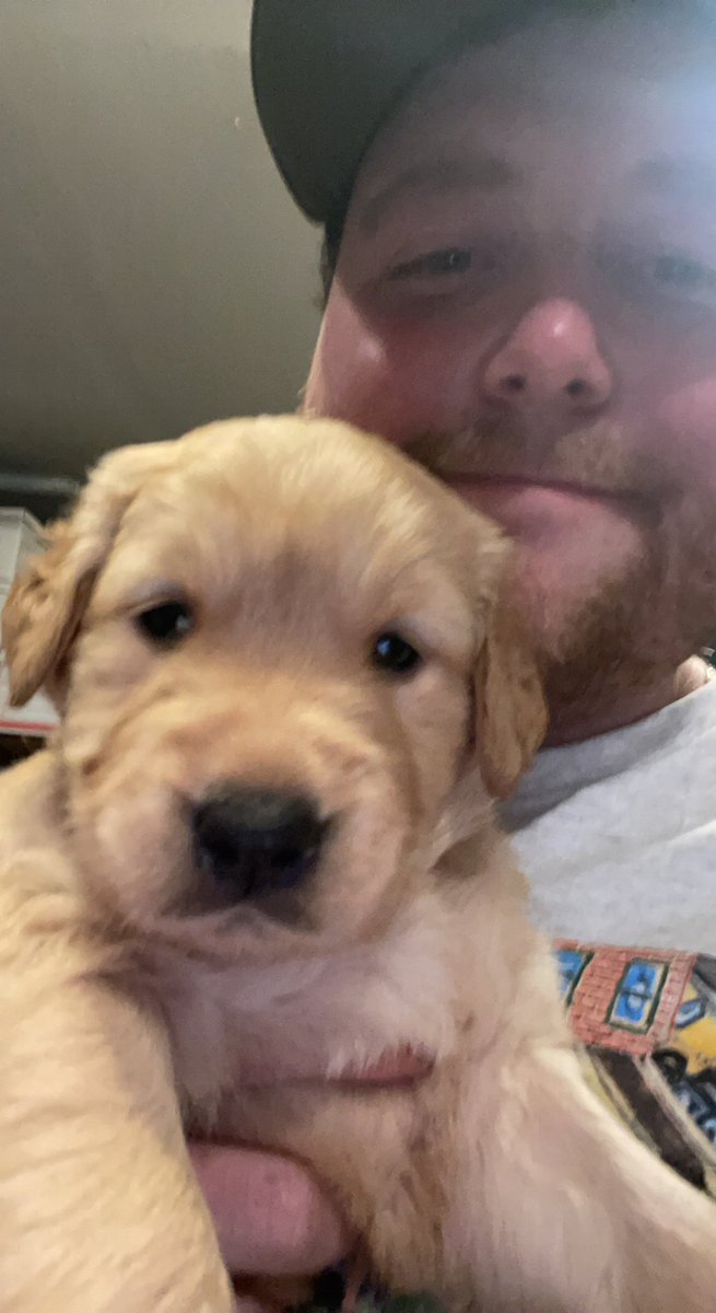cameronloewen5's tweet photo. New puppy on the way in 4 weeks https://t.co/j5RcCOxT8i