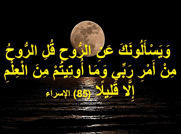 شارك بوضع ايه قرآنيه (فقط) والكل يقرأها