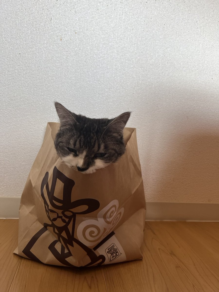 lion_dao's tweet photo. コメダ https://t.co/pLynag14xG
