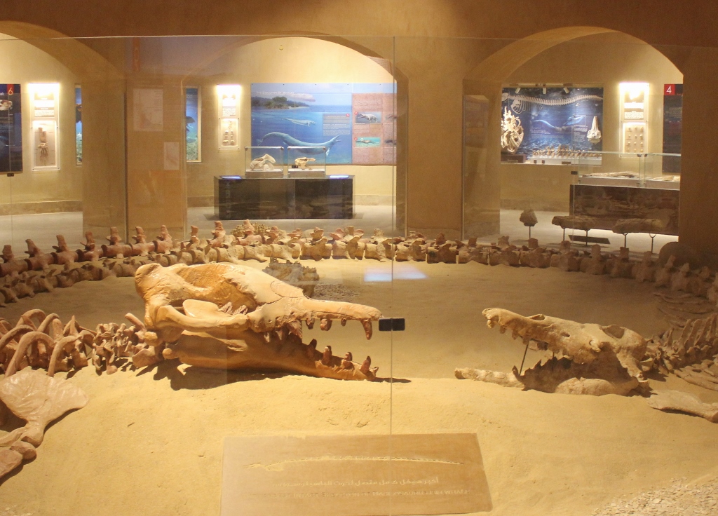 therealtoursegp's tweet photo. Whales Valley Museum gives you further insights to this unque place. You can visit the Whales Valley as part of a Fayoum day tour from Cairo with us, or we can camp overnight to explore more of the area over several days.
#egypt #realegypt #visitegypt #realtours #fayoum https://t.co/BnpRyEII3X
