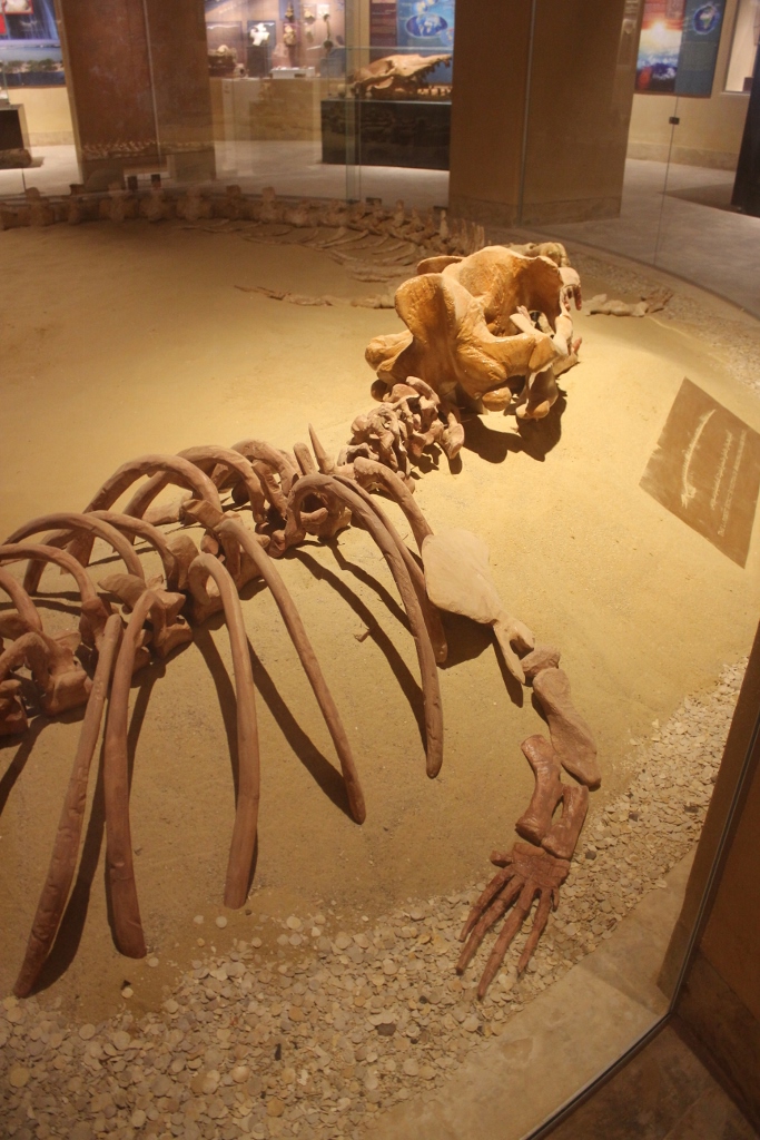 therealtoursegp's tweet photo. Whales Valley Museum gives you further insights to this unque place. You can visit the Whales Valley as part of a Fayoum day tour from Cairo with us, or we can camp overnight to explore more of the area over several days.
#egypt #realegypt #visitegypt #realtours #fayoum https://t.co/BnpRyEII3X