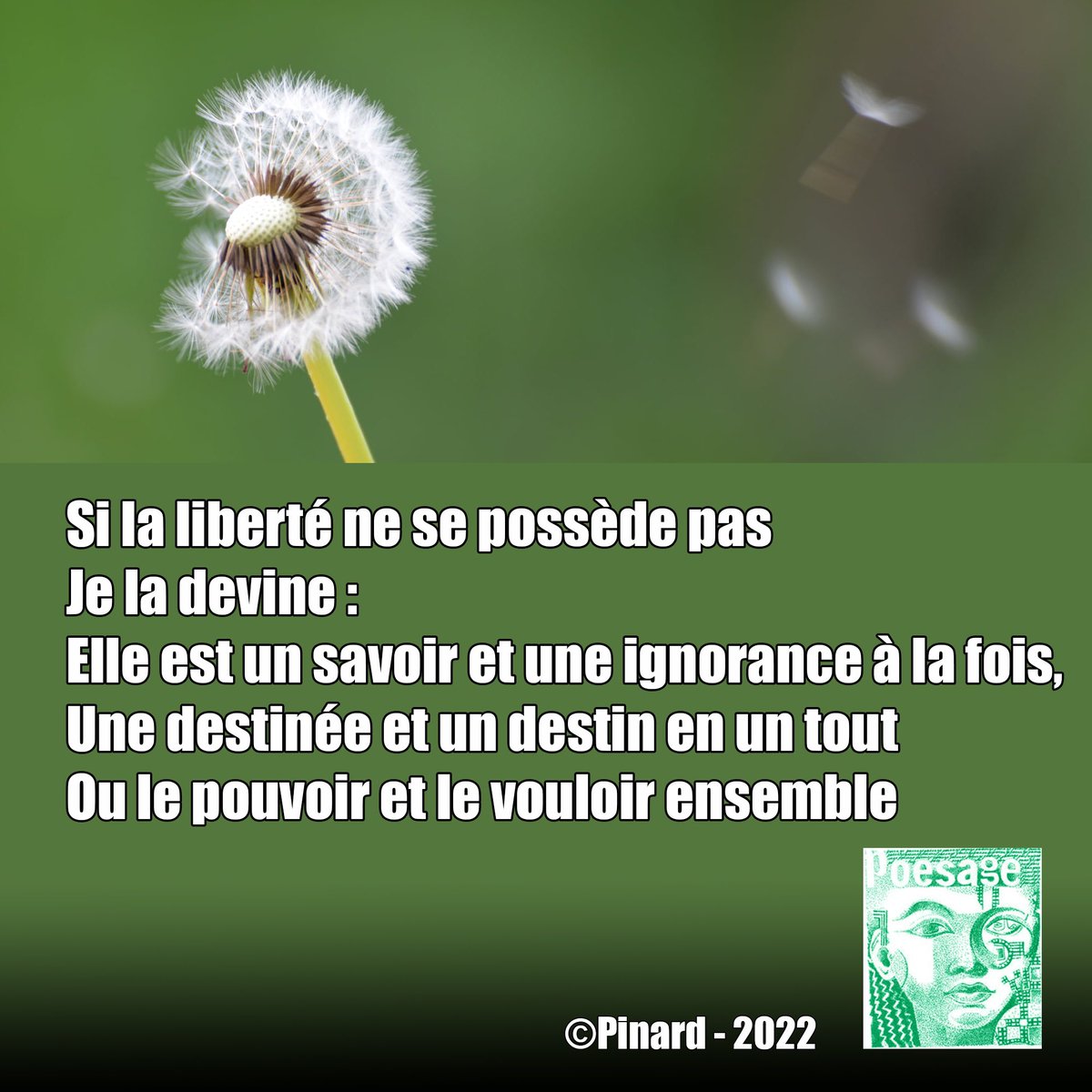 poesage_27's tweet photo. Si la liberté ne se possède pas
Je la devine :
Elle est un savoir et une ignorance à la fois,
Une destinée et un destin en un tout
Ou le pouvoir et le vouloir ensemble
©Pinard – 2022
#liberte #posseder #possession #deviner #savoir #ignorance #destinee #destin #pouvoir https://t.co/RjwA8rPZqQ