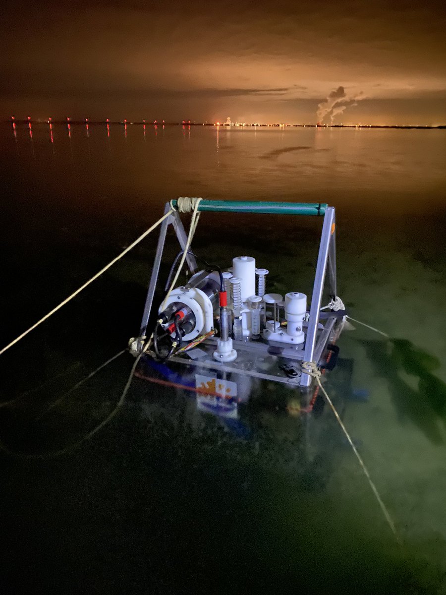 Night incubations on #oysters <a href="/FutureMares/">FutureMARES</a> <a href="/WURmarine/">WUR Marine</a>