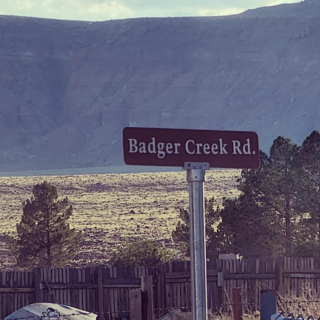 RadTalkinRex's tweet photo. Ayyooo! This is Badger Country! Represent!

#furry #furryfandom #fursona #fursuit #fursuiter #goodtimes #havingfun #havingablast #havingagoodtime #arizona #vermillioncliffs #marblecanyon #grandcanyonstate #badger #badgercreek #az #travel #traveling #exploring #crosscountry #bro https://t.co/bILxcvUaoL