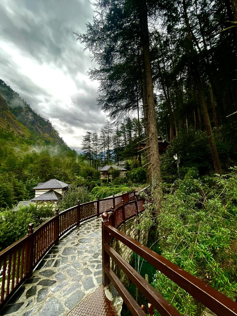 kailashathv's tweet photo. Are we living in a dream? #dreamland #wonderland #landofadventures #kingdomofdream #paradiseoflove #stream #riverside #travelagents #indiantravelersofficial #travelblogger #workfromanywhere🌎 #bloggersofindia #kanawarwildlifesanctuary🏞 9805072712 https://t.co/dU5r5YR4Bq https://t.co/pDIT9iGcDN