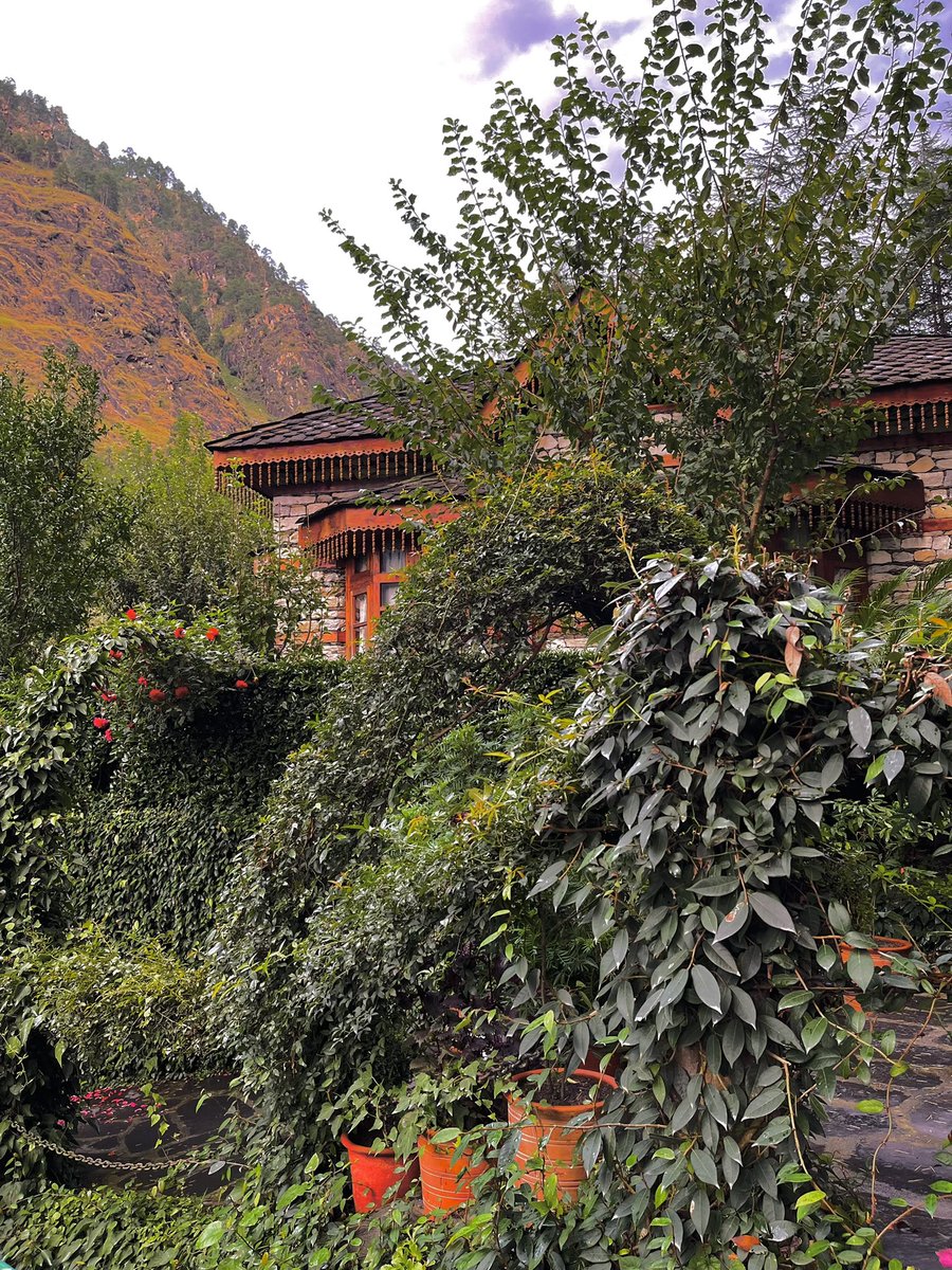 kailashathv's tweet photo. Are we living in a dream? #dreamland #wonderland #landofadventures #kingdomofdream #paradiseoflove #stream #riverside #travelagents #indiantravelersofficial #travelblogger #workfromanywhere🌎 #bloggersofindia #kanawarwildlifesanctuary🏞 9805072712 https://t.co/dU5r5YR4Bq https://t.co/pDIT9iGcDN