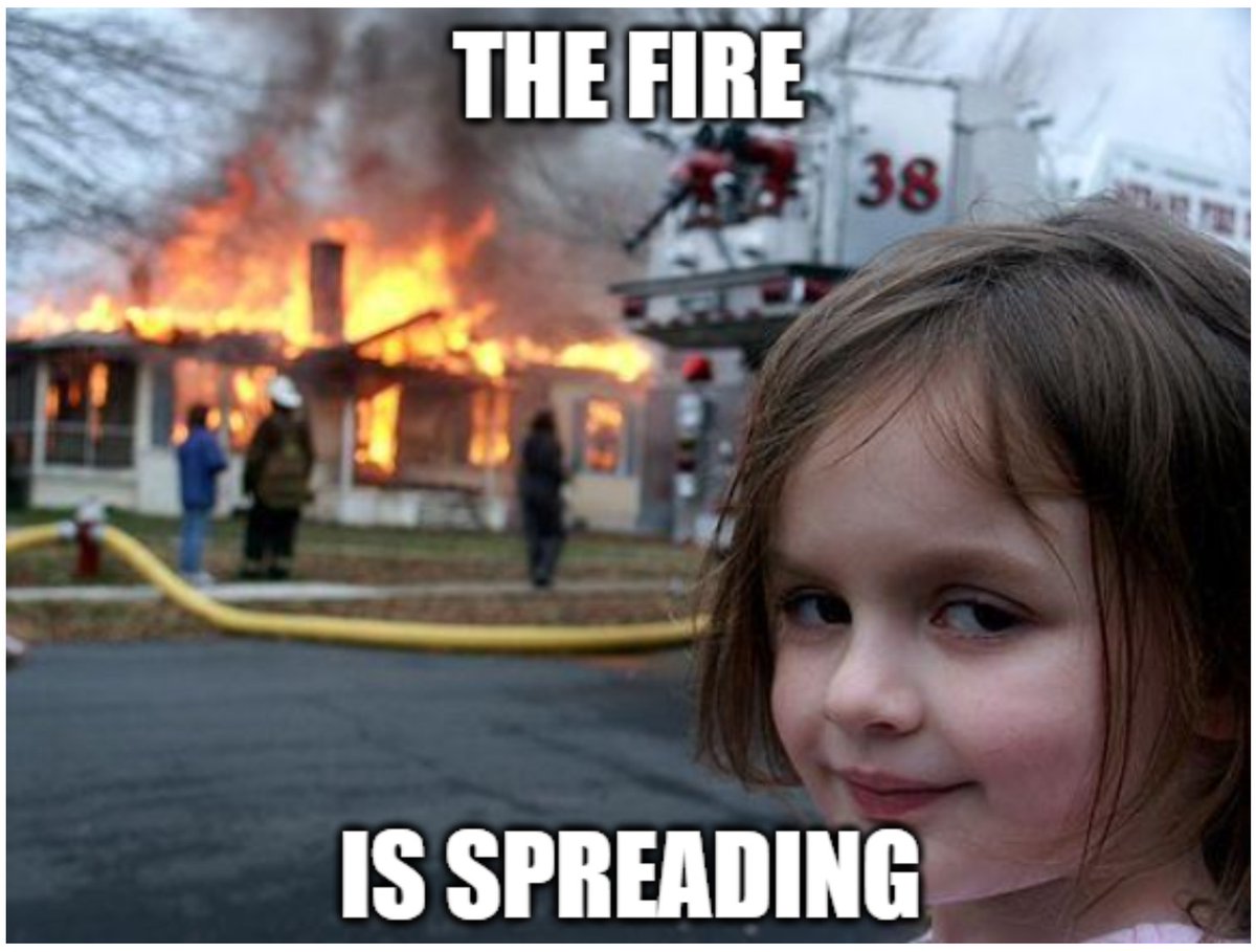 FireBearsNFT's tweet photo. The fire is spreading. #Firebears #NFT #FireBearsNFT https://t.co/xQp6NfqbVT