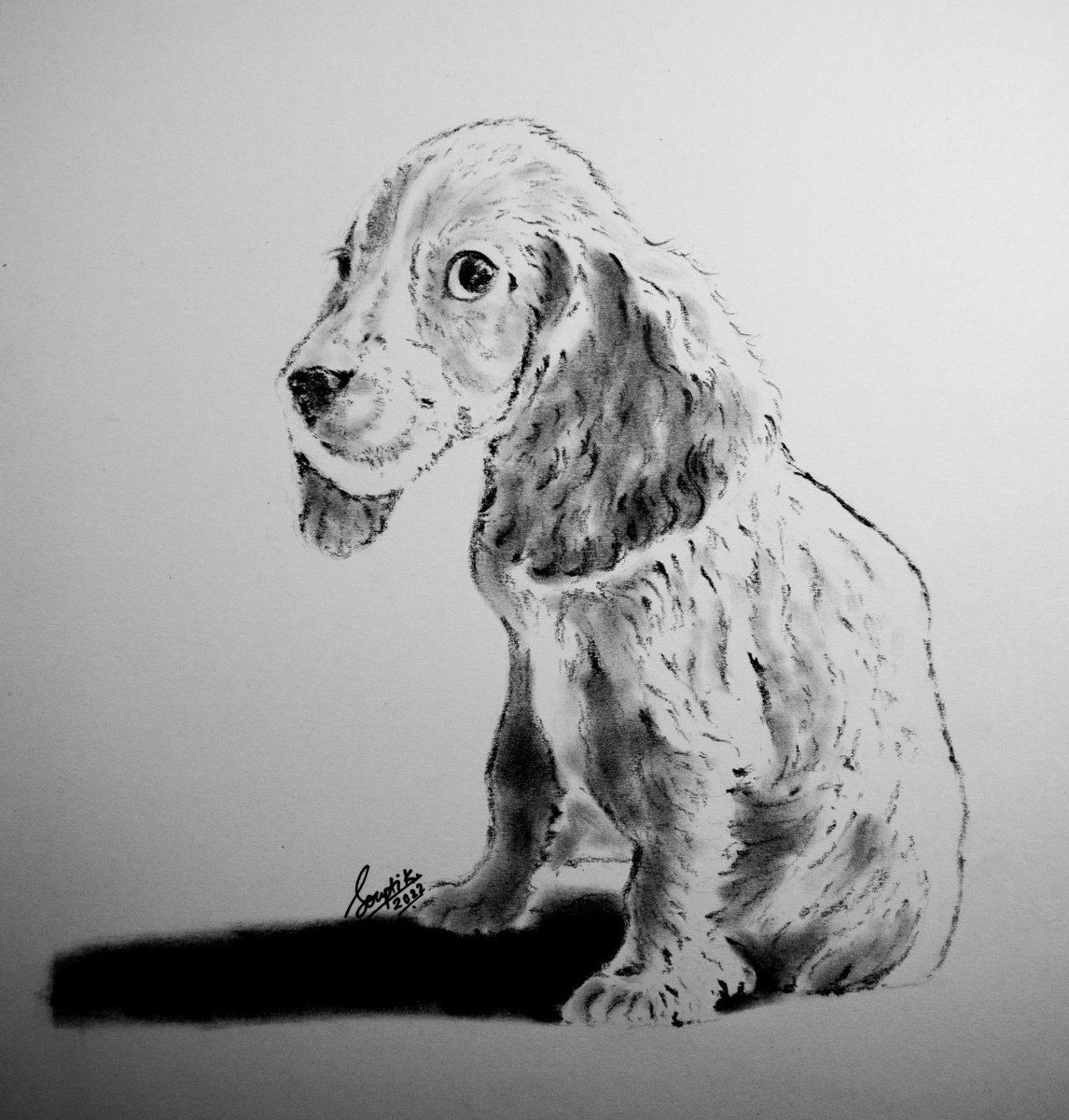 xsoupart's tweet photo. Dog drawing #Pencildrawing #cockerspaniel #dogdrawing https://t.co/XgP1wcN6y1 via @YouTube https://t.co/NrNoGebJRt