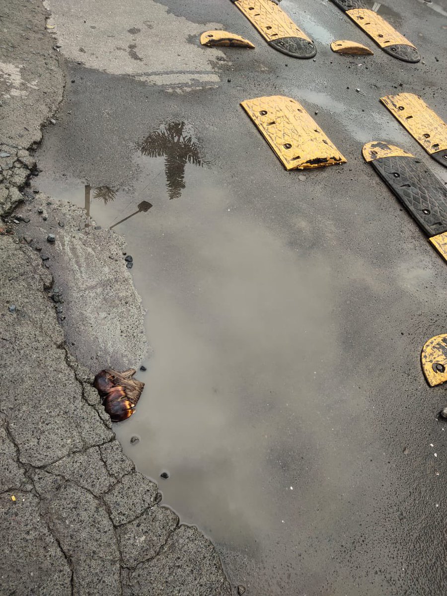 Rohan Patil tweet media