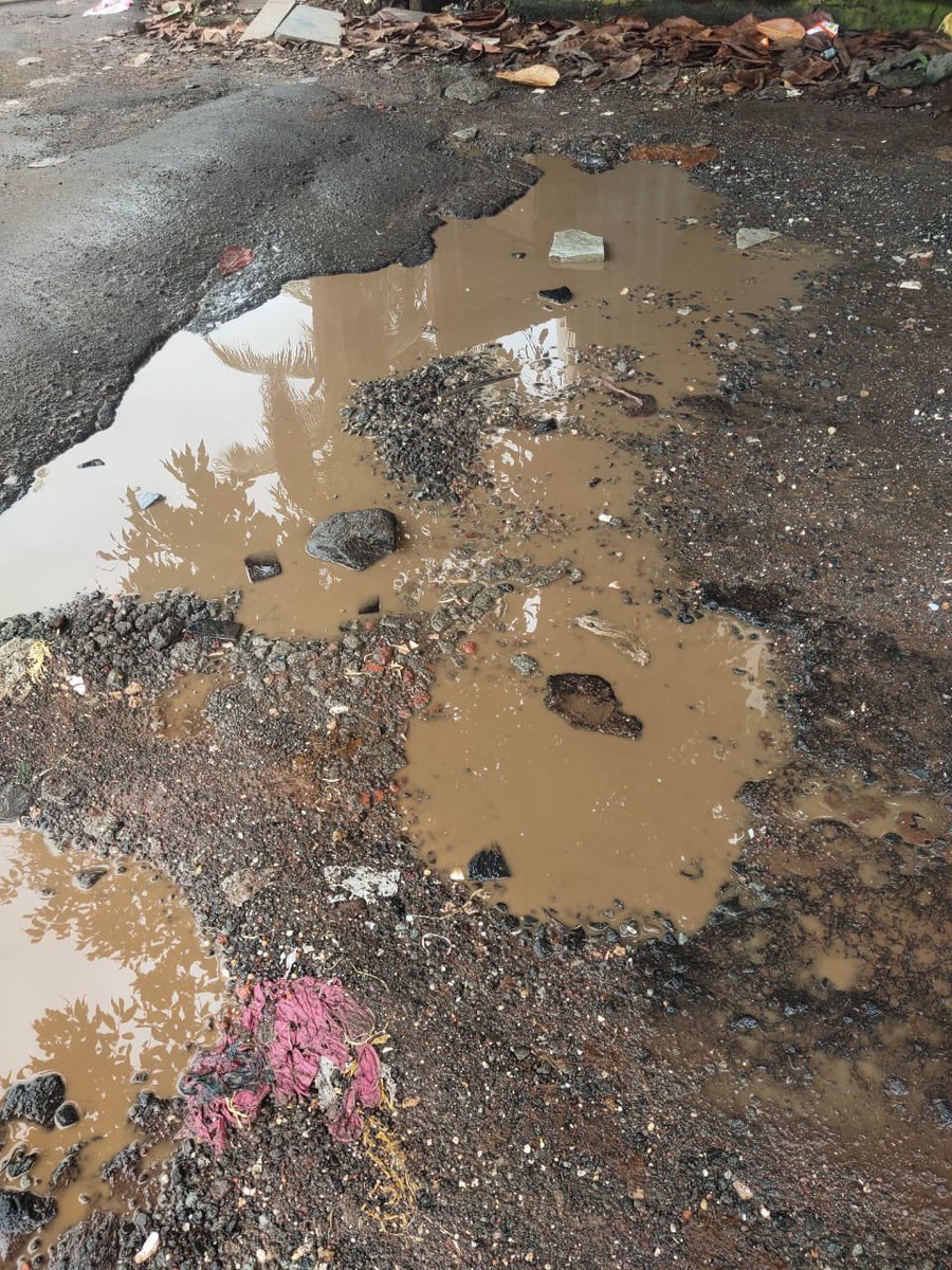 Rohan Patil tweet media