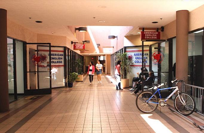 studydestiny's tweet photo. [America]American English College – East Los Angeles Campus

- College and University Pathways: Receive help choosing the right school, meeting application deadlines, and understanding the US education system. 

For more information
https://t.co/Lxwqg3XFRN https://t.co/7L8ZGEg1HG