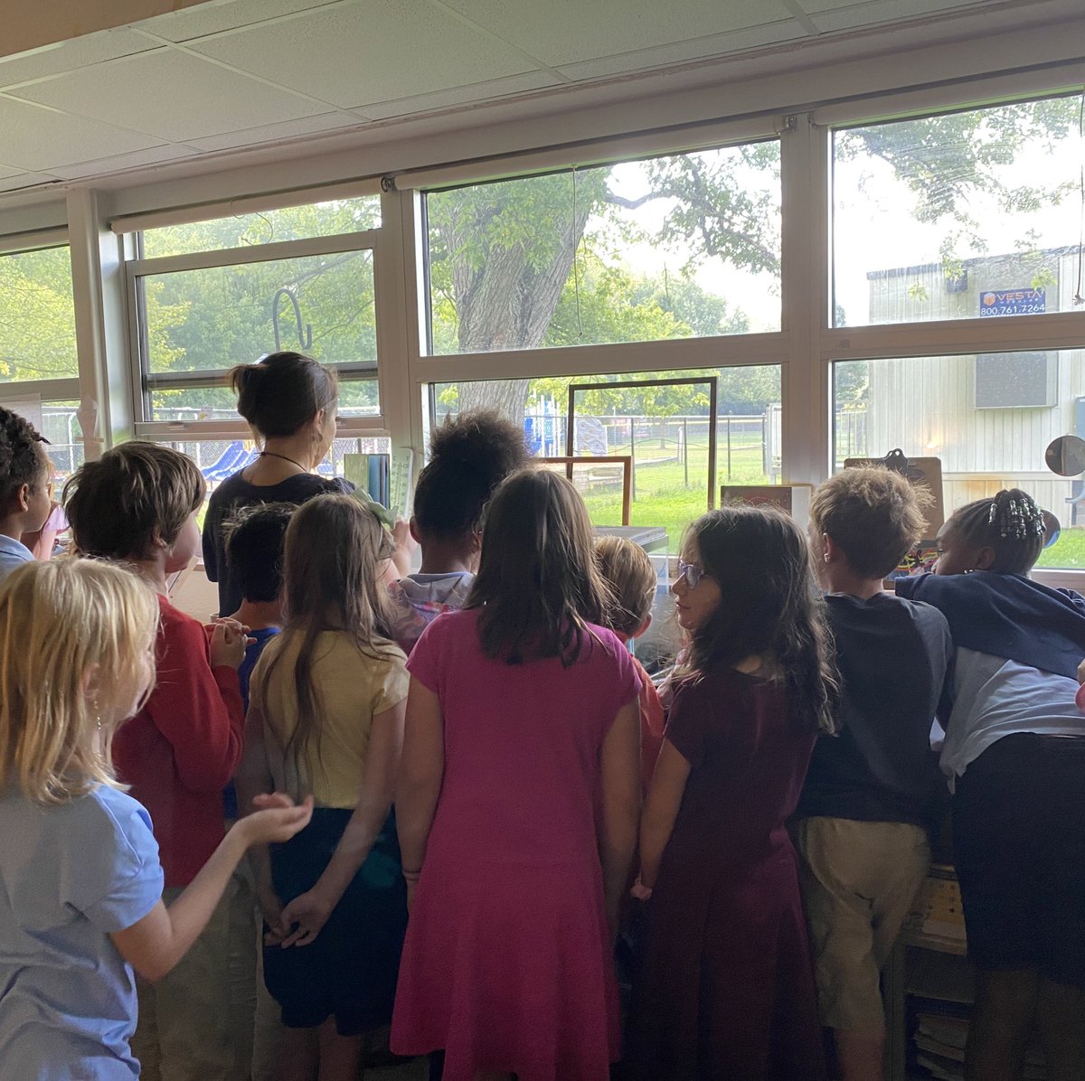 This week in third grade we released our first monarch and learned about how the monarchs travel to Mexico!! We can’t wait to watch the rest of our caterpillars grow and change!