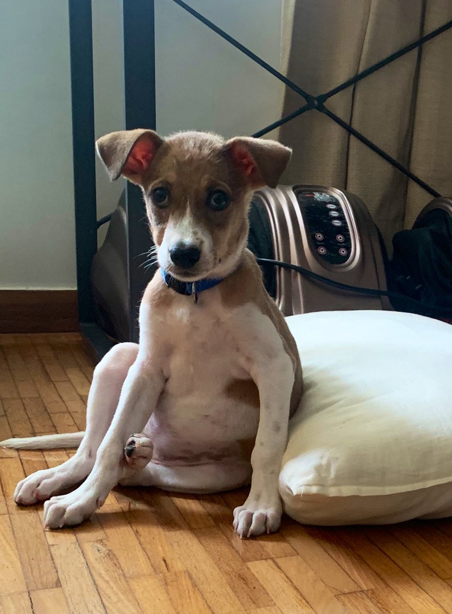 Falooly's tweet photo. Some things never change, I guess? #DailyDobby https://t.co/PEwo2Uh7Ex