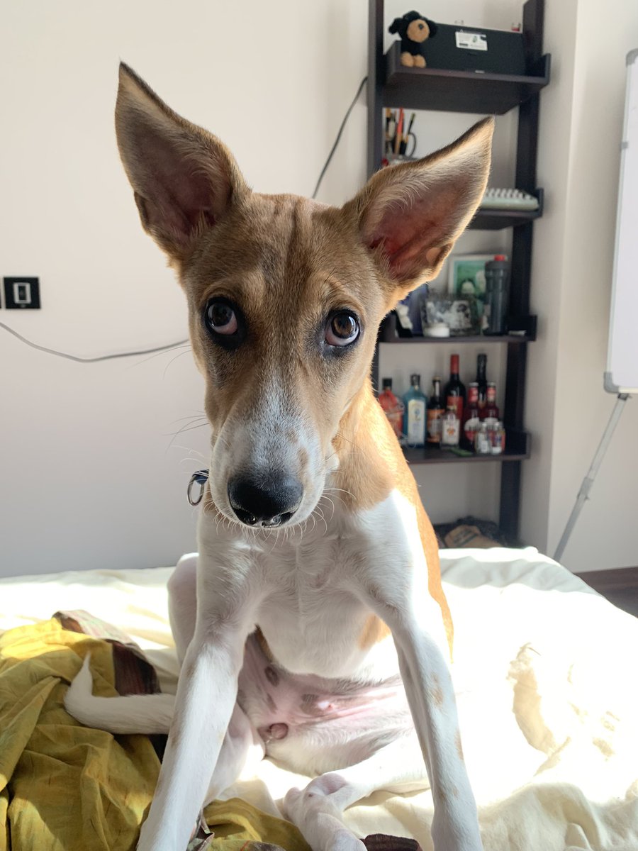 Falooly's tweet photo. Some things never change, I guess? #DailyDobby https://t.co/PEwo2Uh7Ex