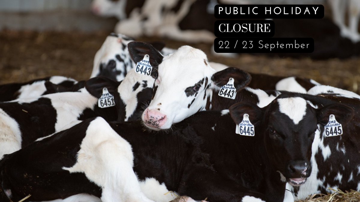 Reminder that the Holstein Australia office will be closed Thursday and Friday for the National Day of Mourning for Queen Elizabeth II followed by Victoria's AFL Grand Final holiday.

#HolsteinCommunity