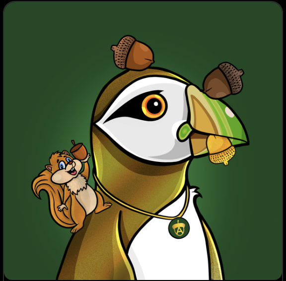 O' Guardian Puffins tweet media