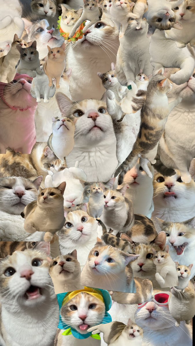 fatfatpankocat's tweet photo. Masterpiece https://t.co/pf947nSHKr