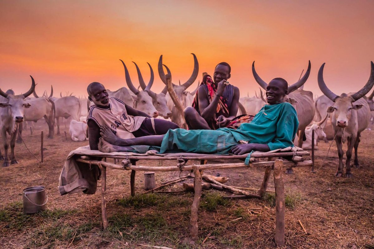 SOUTH SUDAN - MUNDARI CATTLE CAMP AND CULTURE. Read more👉 nungisafarisuganda.com/index.php/comp… 

#bucketlistadventures #lovenature #bucketlist #bucket #culturalphotography #SouthSudan #mundari #mundaring #camping #photography #photooftheday #photo #grouptours #familytrip #solotravel