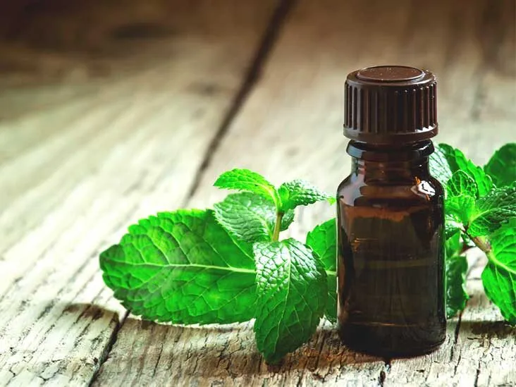 drug_ijddr's tweet photo. A company called #Healthroots blends the #benefits of #traditional methods with contemporary #herbal cures for greater health. migraine, treatment for #migraine, and healthshots.
Submit your #manuscript @ https://t.co/KivPENZpKS
#drug #development #anticancer
#article #research https://t.co/JVFXJsKsjm