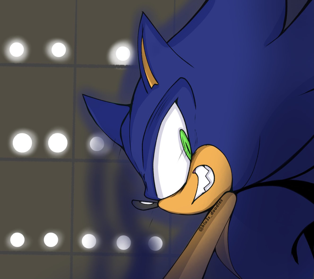 Amy Rose explain why she mistoke Shadow for Sonic : r/SonicTheHedgehog