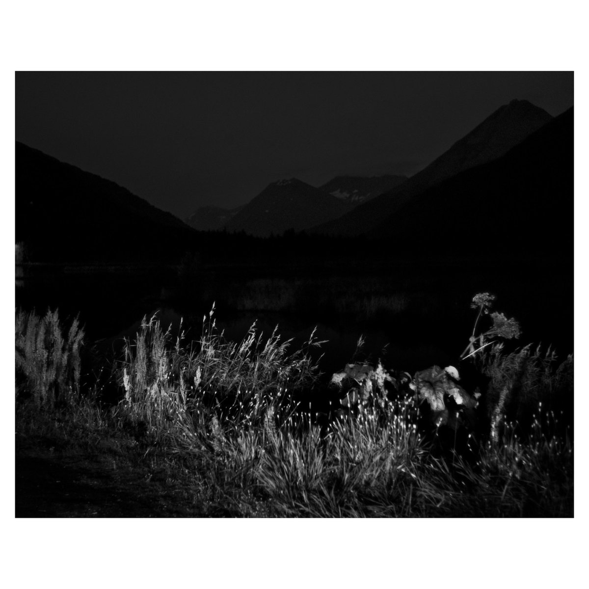 Akela Space tweet media