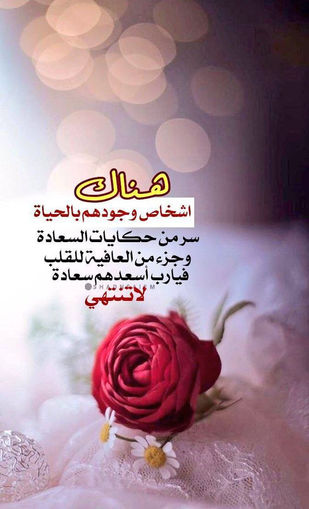 اللهم سعادة لا تنتهي لنا و لأحبابنا ولكل من يسعي بين الناس جابراً للخواطر ❤️
وكل من قال آمين 🙌