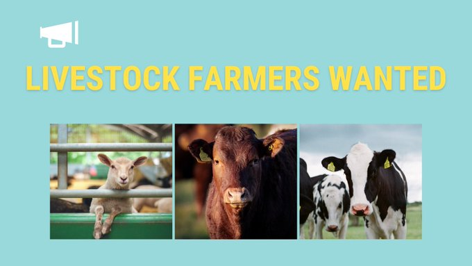 CCRI_UK's tweet photo. Our #PhD student @PippaSim is looking for #livestock #farmers based in #Sussex or #Kent 🐮🐑🚜
She would like to hear your views on sustainability for @UKRI_News funded research
🗣️Interviews late Sep/early Oct takes~1hr
📧philippasimmonds@connect.glos.ac.uk or DM https://t.co/Ut4Tm44icf