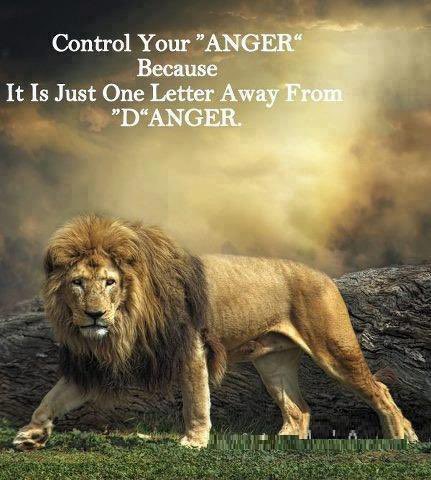 TilleyTracie's tweet photo. Proverbs 16:32-KJV
“He that is slow to anger is better than the mighty; and he that ruleth his spirit than he that taketh a city” https://t.co/y3ZLxes5uZ