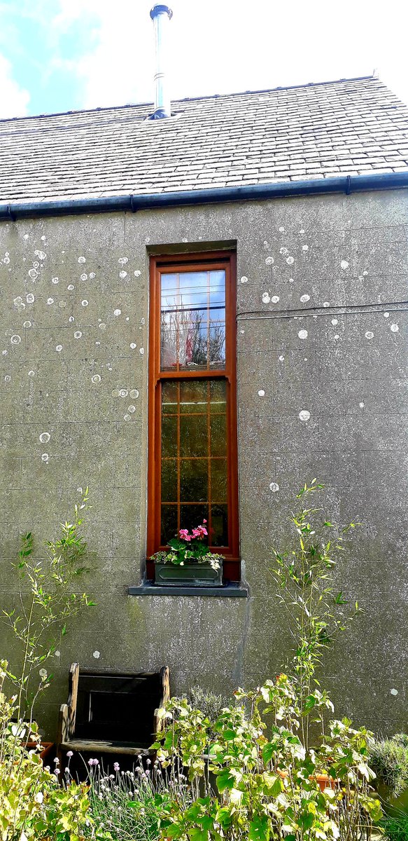 LZellas's tweet photo. Saron chapel,near Botwnnog.
I can't find out anything at all about this chapel.
#WindowsOnWednesday 
#NiceWindow 
@WindowsLake https://t.co/9iYJQrZwV6