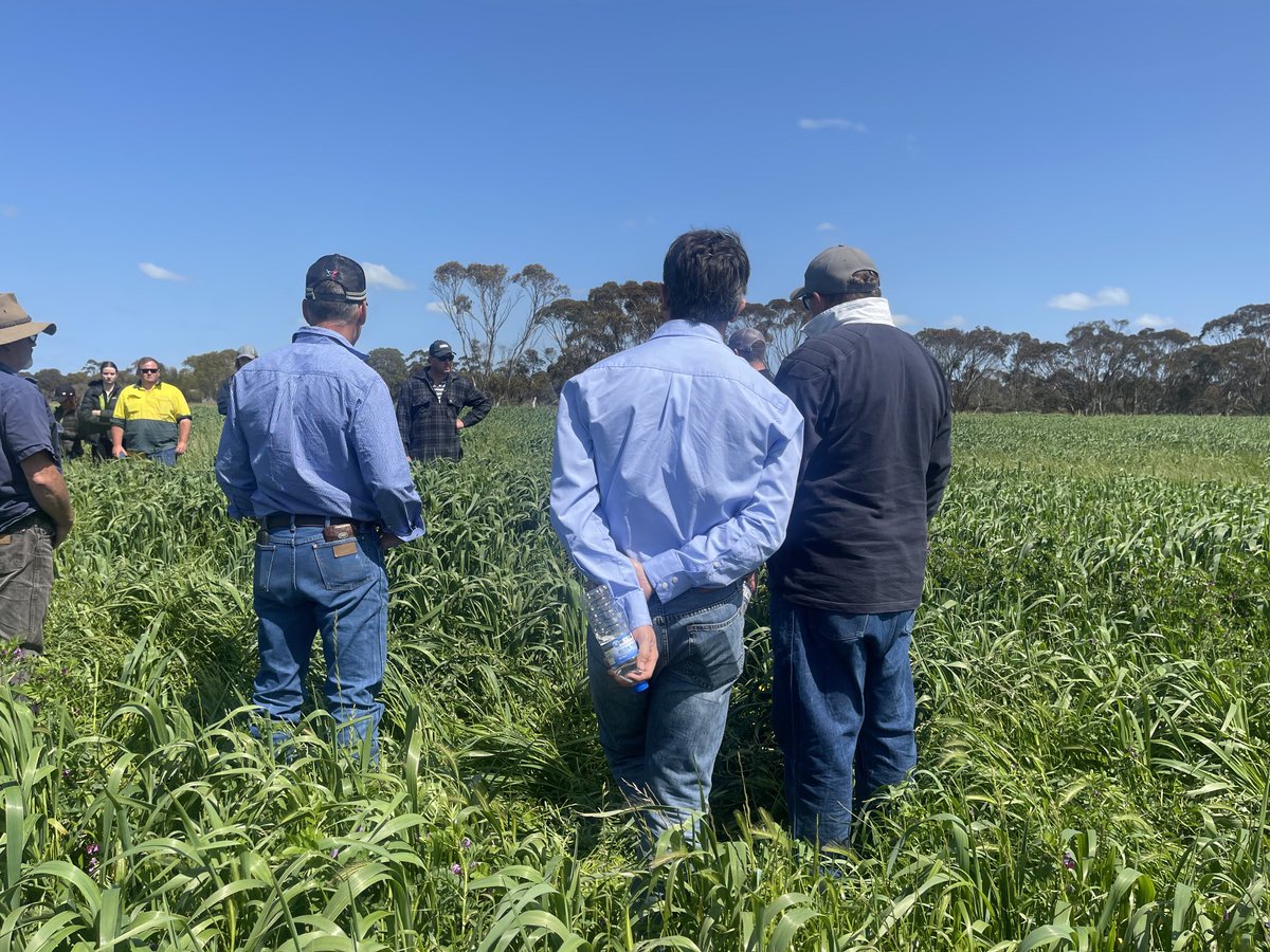 John Wallace tweet media