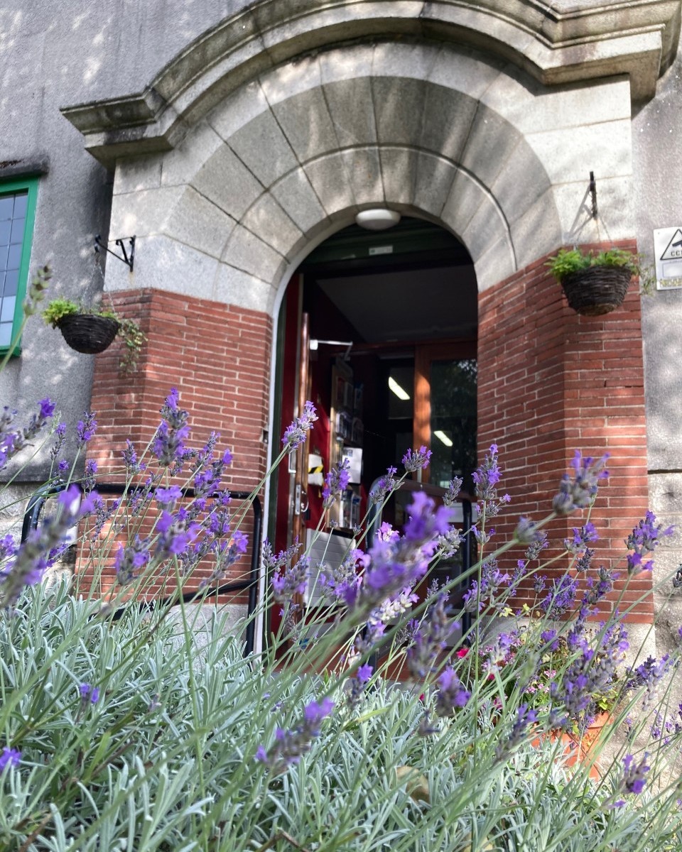 DLR_Libraries's tweet image. #WordlessWednesday #ShankillLibrary #DlrLibraries