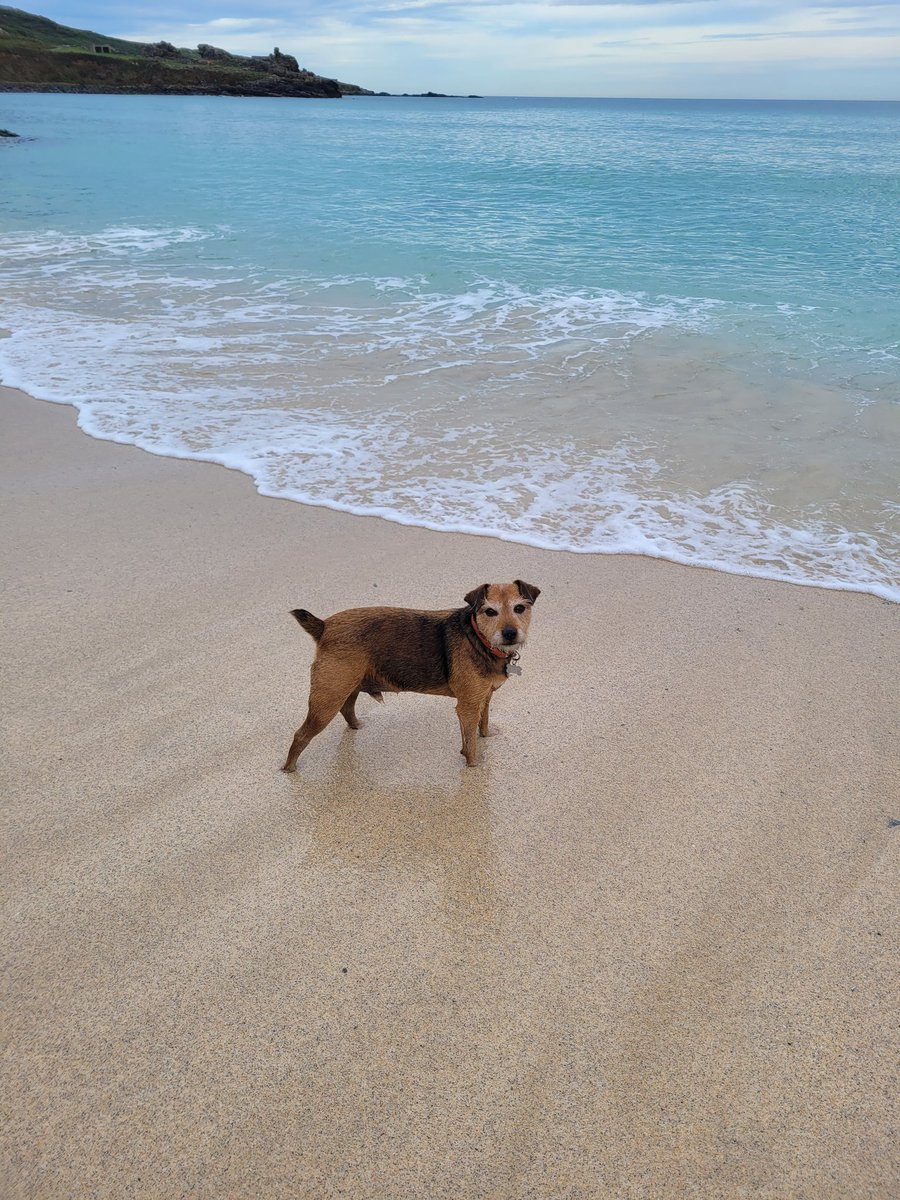 A_Bozza's tweet photo. #StIves #Cornwall #southwest #roadtrip https://t.co/Wzq4FBOwb4