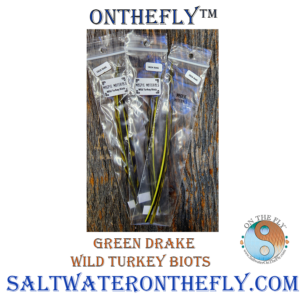 Saltwateronfly's tweet photo. Green Drake Wild Turkey Biots
https://t.co/eB7THDKNua
:
#flyfishing #flytying #onthefly #saltwateronthefly #saltwaterflyfishing #tarponfishing #muskiefishing #inshorefishing #redfishflies #redfishing #snookfishing #bonefish #troutfishing https://t.co/tM3pxSlJ1v