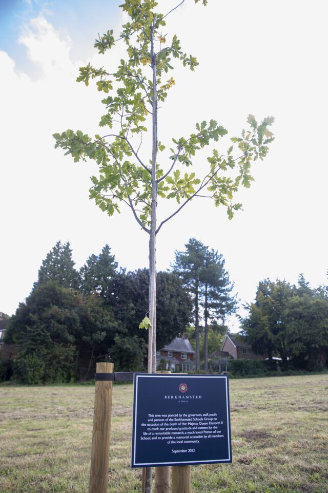 LivingMagazines's tweet photo. In order to create a lasting memorial to Her Late Majesty Queen Elizabeth II, Berkhamsted School has planted an English oak tree in Tompkins Meadow > https://t.co/bsffPuKMvM #Berkhamsted #MemorialOak #HMQueen https://t.co/XzZIwim0xN