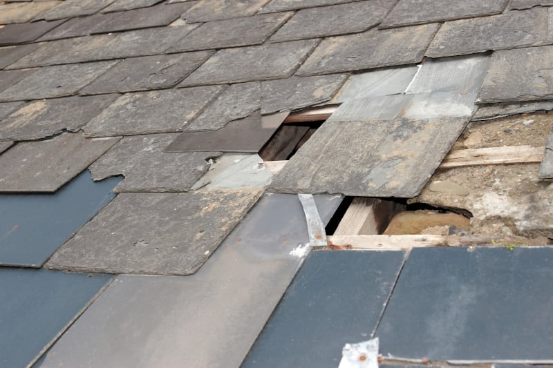 RoofBuildSol's tweet photo. 👉 Is your roof looking 💔 unloved and in need of some repair? 🏡 We specialise in new slate roofs of all types in the Yorkshire area. ℹ For more information on our roofing services visit: https://t.co/FKZyYAbM0R

#rooftiling #roofing #property #Yorkshire #home #roof #roofers https://t.co/BXYxasxRwa