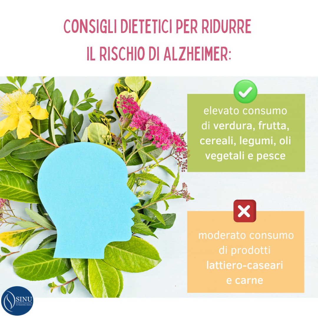 SINU_Italia's tweet photo. 👵🏼L'invecchiamento della popolazione è all'origine di malattie neurodegenerative, tra cui il morbo di #Alzheimer, e queste “nuove patologie” rappresentano un problema sociale, economico e medico sempre più grave❌
Ruolo della dieta? 👉https://t.co/r4UNzkTKgw https://t.co/EFA6RcWuVD