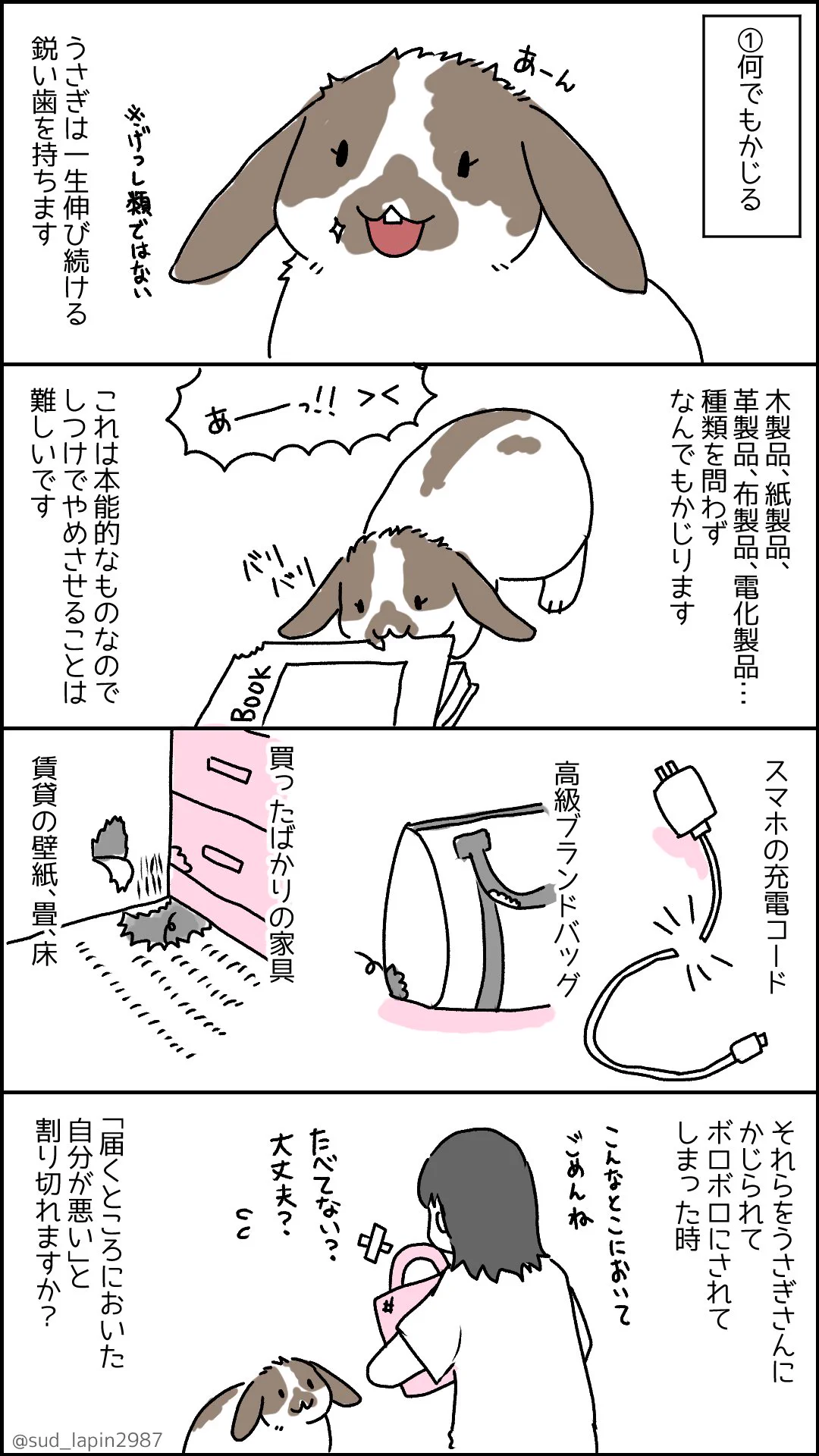 来年はうさぎ年！お迎えしたい人に知っておいて欲しい事！