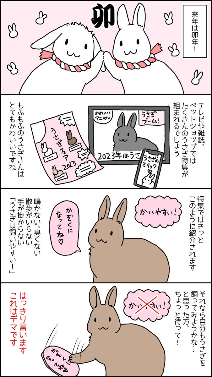 来年はうさぎ年！お迎えしたい人に知っておいて欲しい事！