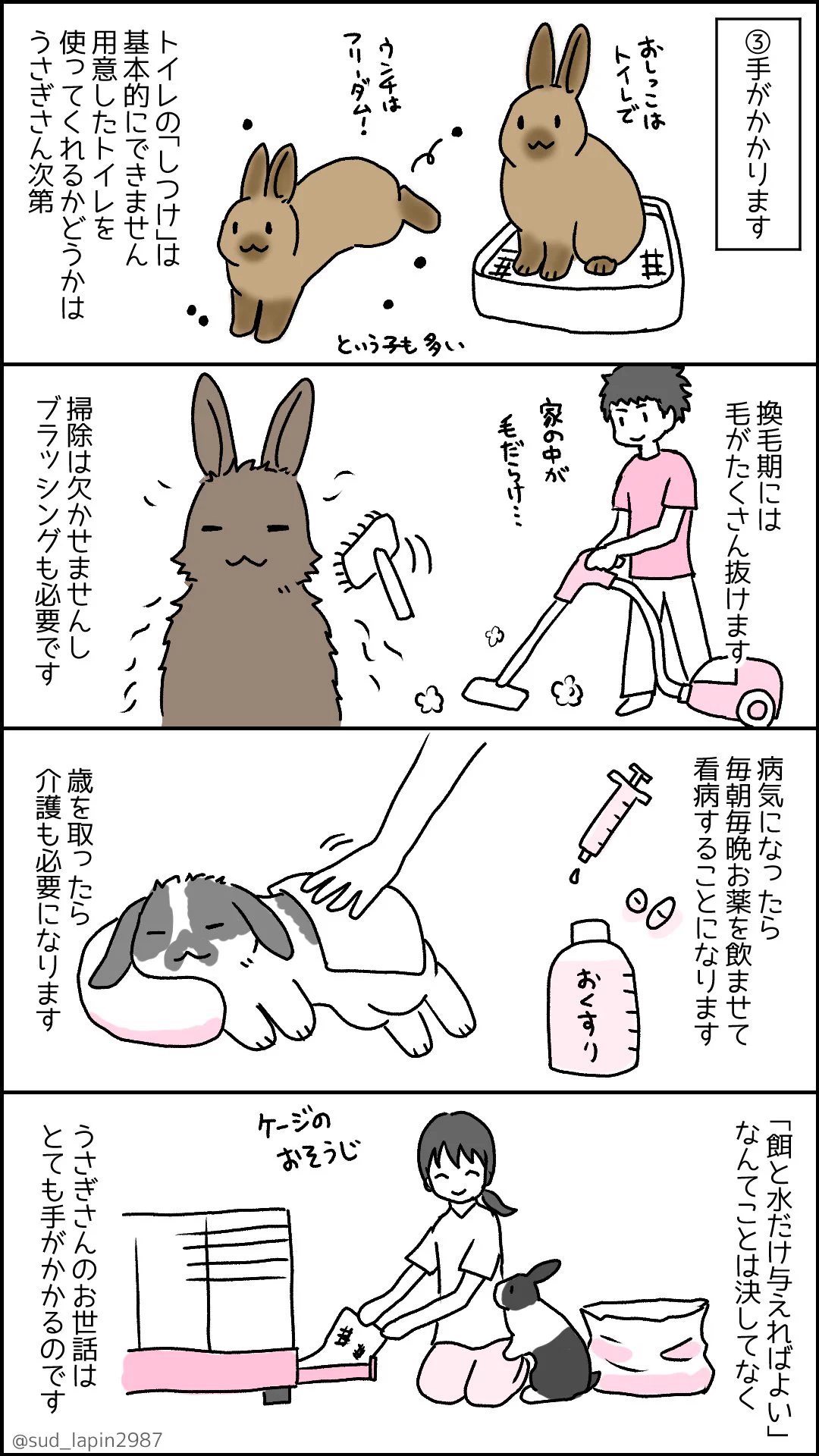 来年はうさぎ年！お迎えしたい人に知っておいて欲しい事！