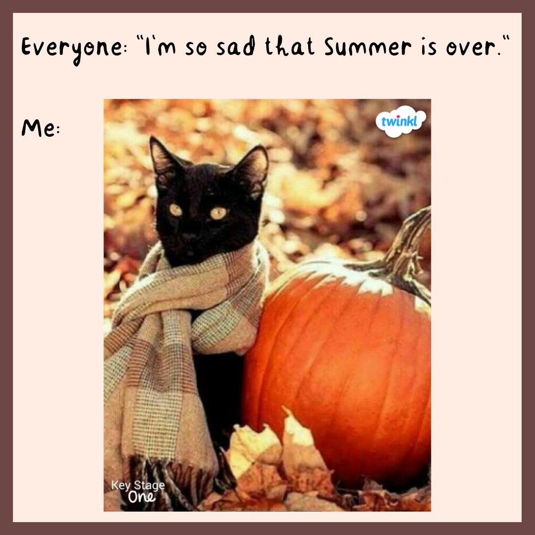 TwinklKS1's tweet photo. π
#KS1September #KS1Teacher #EduTwitter #KS1EduTwitter #TeacherHumour #teacherlife #edutwitter #teachersoftwitter #TEACHers #teachertwitter #Funny #FunnyMemes #TeacherMemes #Autumn #AutumnMemes #CatsofTwittter #CatMemes #BlackCats https://t.co/G4mATACXj2