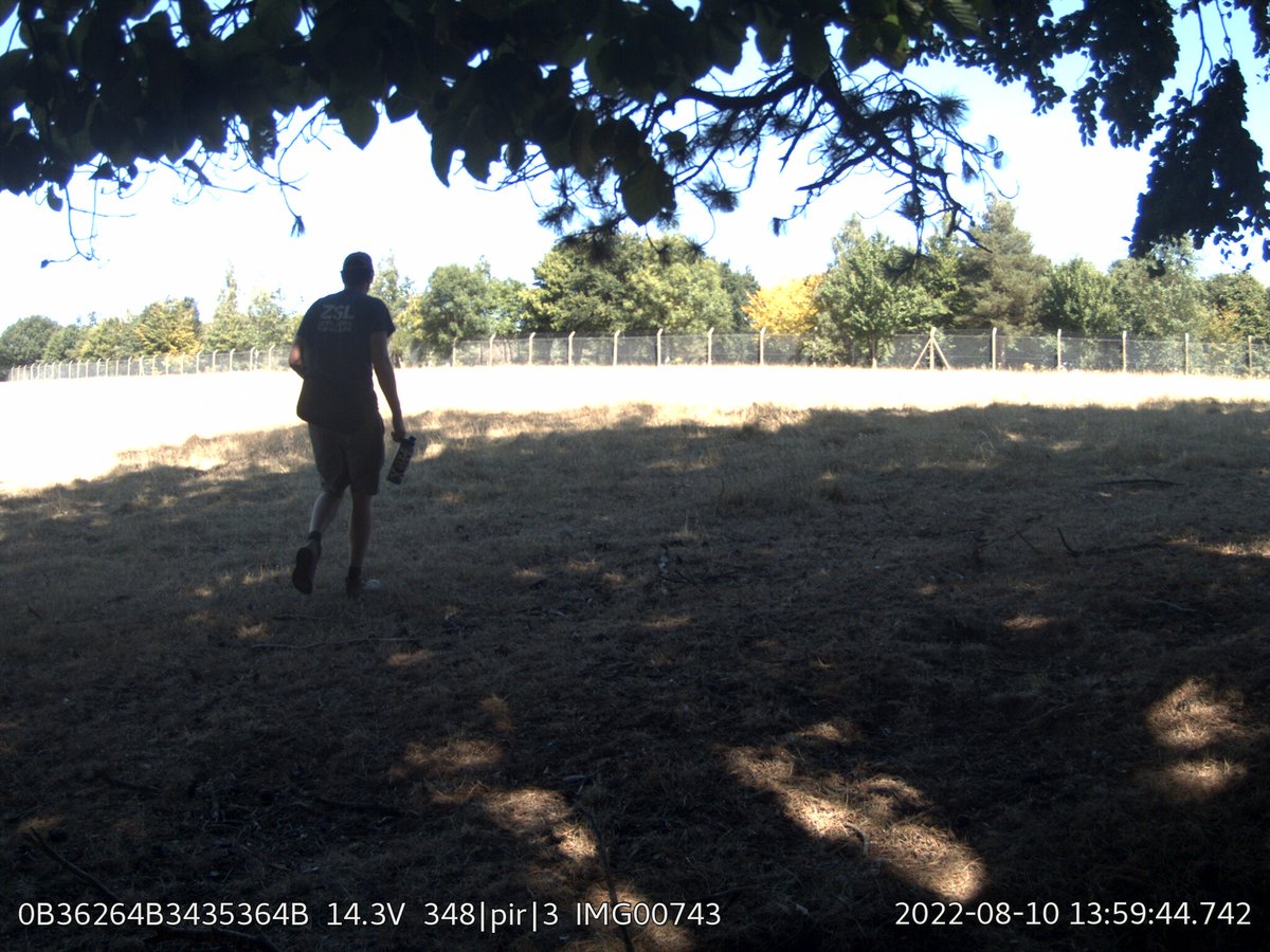 SamSeccombe's tweet image. Both #InstantDetect2 cameras captured every human activity event. In technical speak this means that the cameras have a perfect Recall score of 1.0 with no false negatives. However, the PIR camera has triggered 1044 times compared to 44 times by the metal detecting camera. 6/
