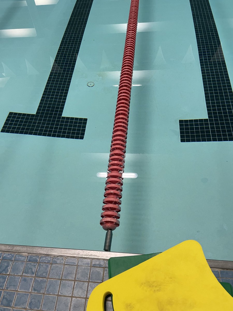 TerrelHale's tweet photo. Good morning Wednesday!
#grateful
#swimmingislife https://t.co/ZJrSJUwp63
