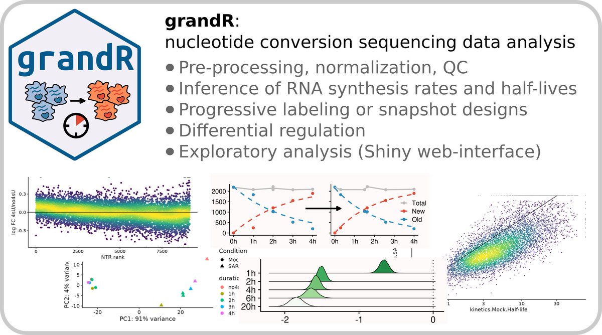 erhard-lab tweet media