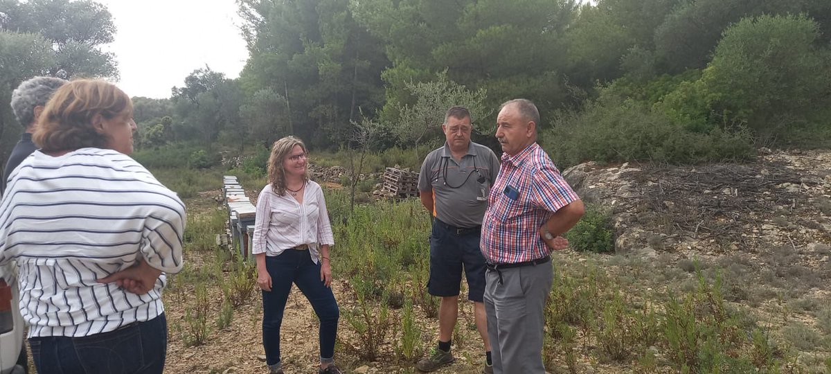 EuroFUE_UJI's tweet photo. Éxito del primer día de la visita a Castelló de la coordinadora del @EcomayaProyecto 🐝 con reuniones de trabajo con @ApiEscuela e #Intercoop y la visita a colmenas de apicultores de la zona👏 https://t.co/s9WmG0ZEZ9