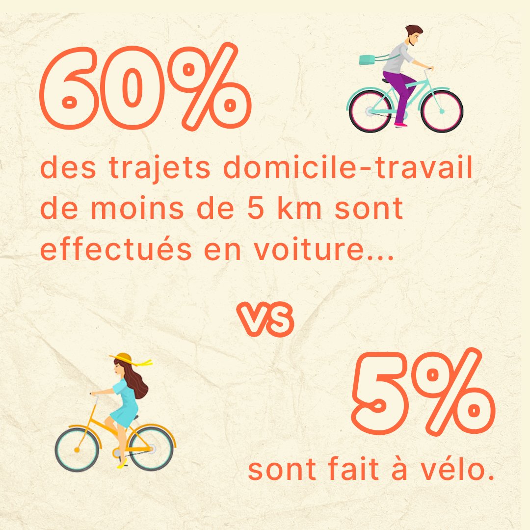 Programme Noé tweet media