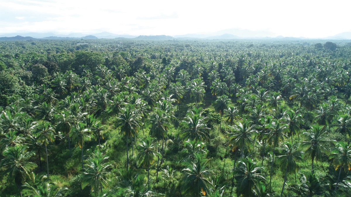 coco_peat's tweet image. As the only substrate provider to operate a fully vertically integrated supply chain, we guarantee control and transparency at all stages to provide our customers with total confidence.

cocogreen.co.uk/about/supply-c…

#supplychain #substrates #logistics