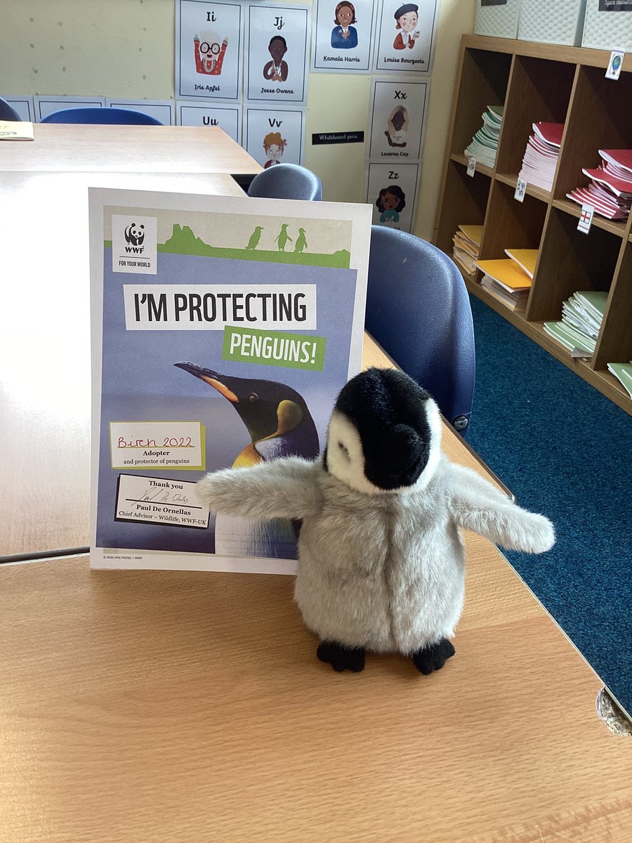MissCJonesx's tweet photo. We recently adopted a penguin from WWF as a class…introducing Jack Grealish the penguin😂 @JackGrealish https://t.co/nOvcjRkCCG