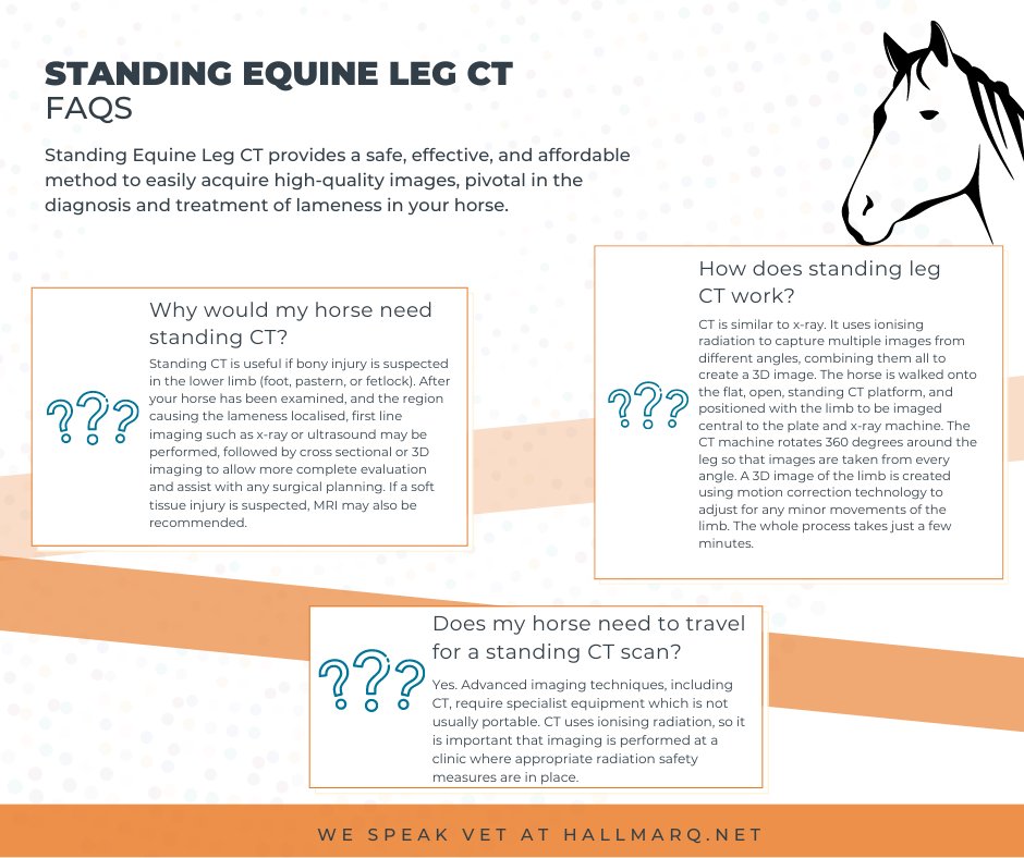 Hallmarq Veterinary Imaging tweet media