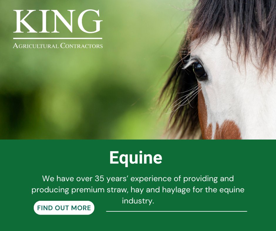 King Agriculture take great pride in the quality and consistency of the forage we produce.

Our Premium Quality Forage Is Ideal For:

🟢 Racing Yards
🟢 Livery Yards
🟢 Trainers
🟢 Feed Merchants
🟢 Farmers
🟢 Individual Horse Owners

kingagriculture.co.uk/agricultural-c…